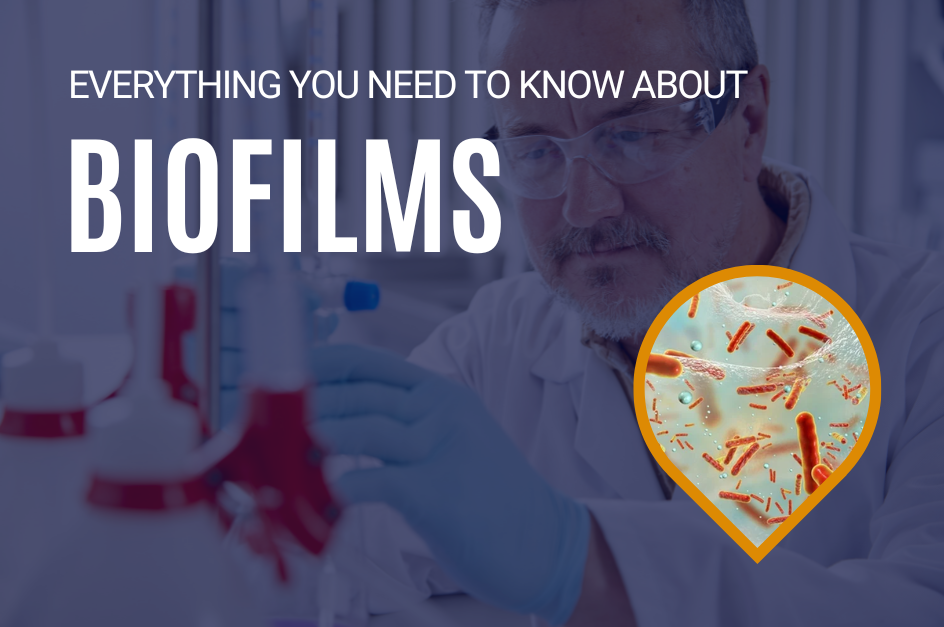 Everything You Need To Know About Biofilms - FoodClean